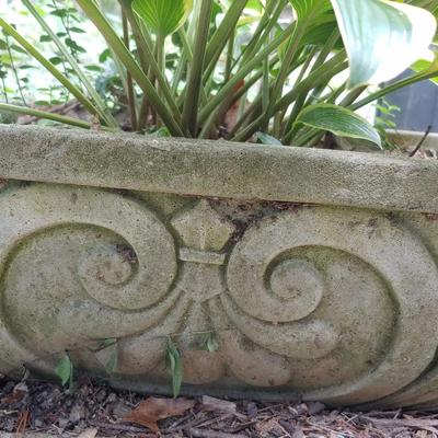 Concrete Planter