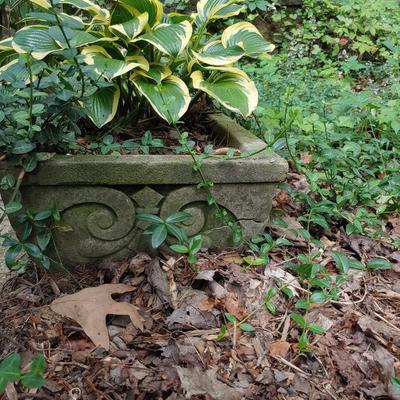 Concrete Planter