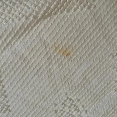 George Washington Cheniel Bedspread