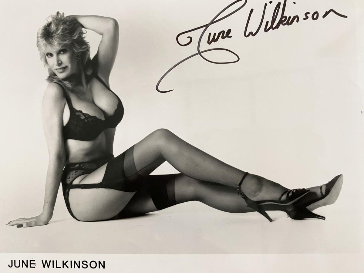 June Wilkinson signed photo | EstateSales.org