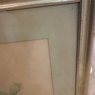 Winsome Flowers framed Lithograph 24"H 20"W