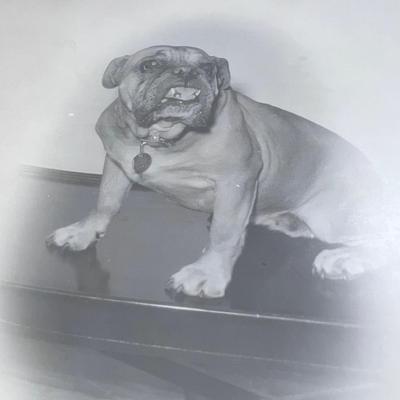66" Black and White photo test rolls
