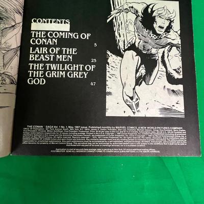 Twenty-Four Conan Saga Comic Books (S4-MK)