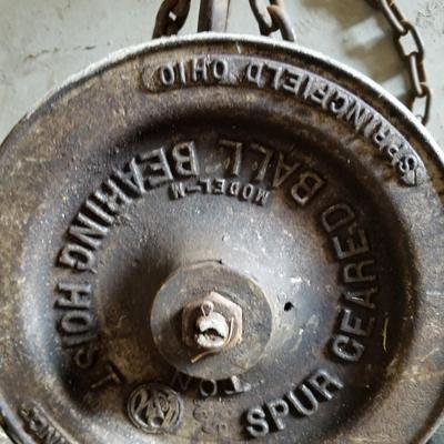 Robbin & Myers Spur Geared Hoist