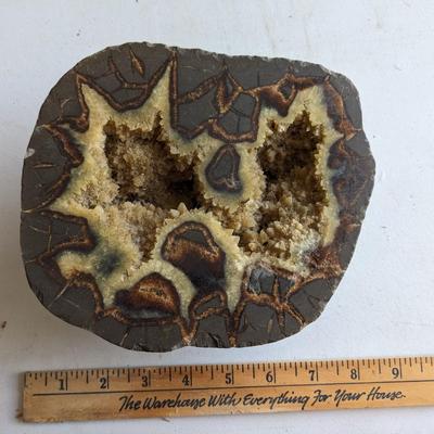 Incredible Septarian Nodule
