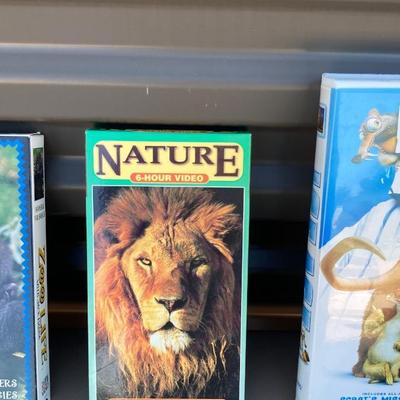 Wildlife and Dinosaur ðŸ¦• Adventures