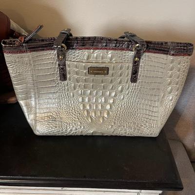 Brahmin Euc Metallic