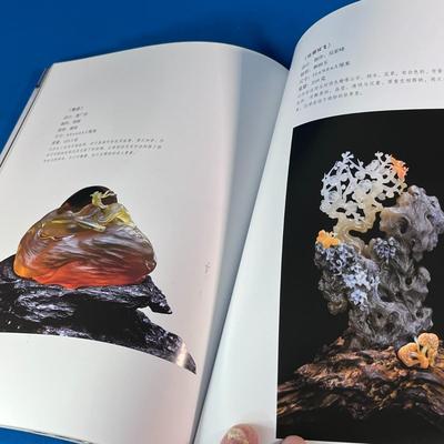 FANTASTIC CHINESE MUSEUM CATALOG OF CARVED JADE PIECES