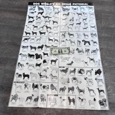 FABULOUS VINTAGE LARGE PICTORIAL DOG BREEDS CHART BLACK & WHITE PHOTOS