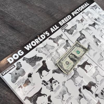 FABULOUS VINTAGE LARGE PICTORIAL DOG BREEDS CHART BLACK & WHITE PHOTOS