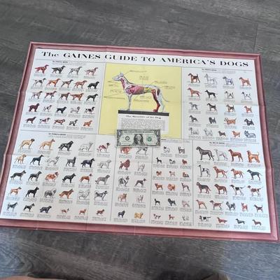 1960 GAINES GUIDE TO AMERICAâ€™S DOGS LARGE DISPLAY CHART