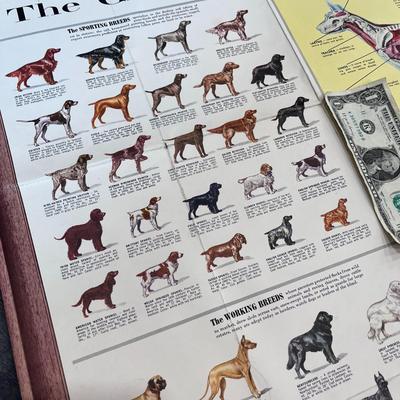 1960 GAINES GUIDE TO AMERICAâ€™S DOGS LARGE DISPLAY CHART