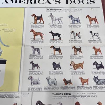 1960 GAINES GUIDE TO AMERICAâ€™S DOGS LARGE DISPLAY CHART