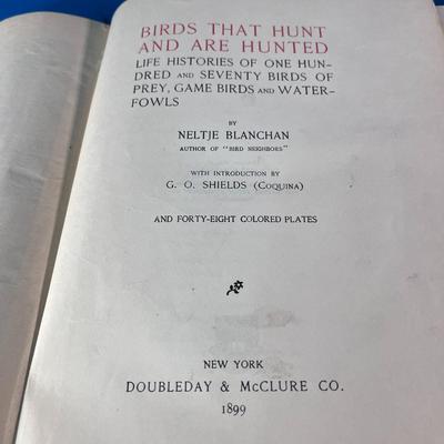 â€œBIRDS THAT HUNT AND ARE HUNTEDâ€ c.1898 ANTIQUE BOOK AMAZING COLOR ILLUSTRATIONS