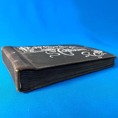 ANTIQUE POST CARD ALBUM ART NOUVEAU STYLE COVER 