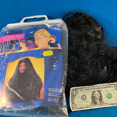 HALLOWEEN COSTUME LONG BLACK HAIR WIG NEW IN PACKAGE