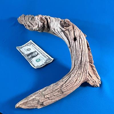 GRACEFUL PIECE OF DRIFTWOOD ABOUT 18â€ LONG