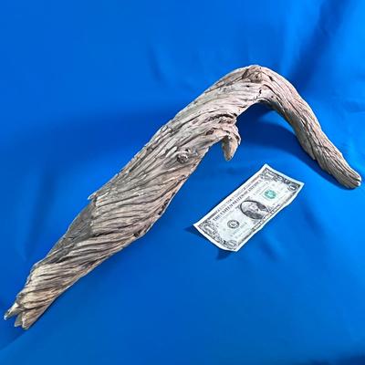 GRACEFUL PIECE OF DRIFTWOOD ABOUT 18â€ LONG