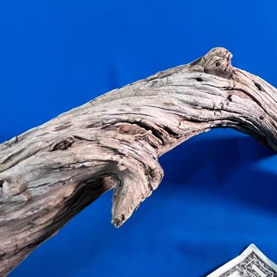 GRACEFUL PIECE OF DRIFTWOOD ABOUT 18â€ LONG