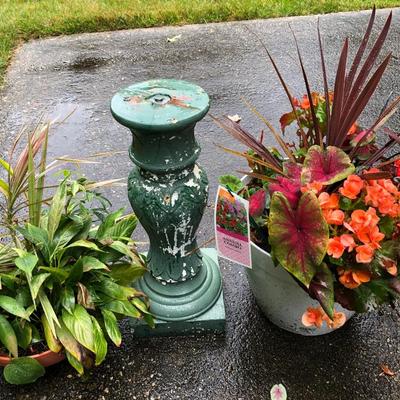 Two Combo Flowers & One Concrete Stand -Lot 131
