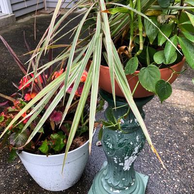 Two Combo Flowers & One Concrete Stand -Lot 131