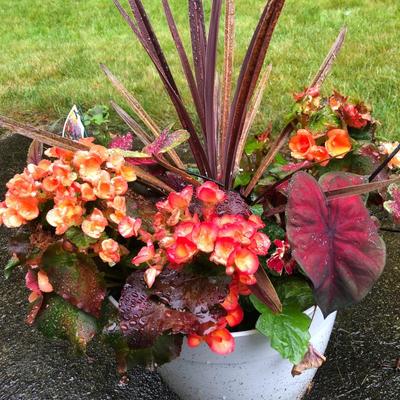 Two Combo Flowers & One Concrete Stand -Lot 131