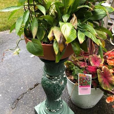 Two Combo Flowers & One Concrete Stand -Lot 131