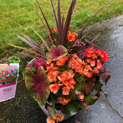 Two Combo Flowers & One Concrete Stand -Lot 131