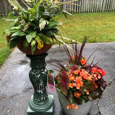 Two Combo Flowers & One Concrete Stand -Lot 131