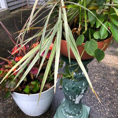 Two Combo Flowers & One Concrete Stand -Lot 131