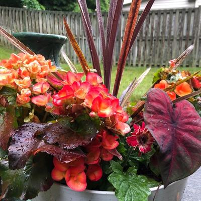Two Combo Flowers & One Concrete Stand -Lot 131