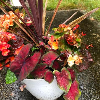 Two Combo Flowers & One Concrete Stand -Lot 131