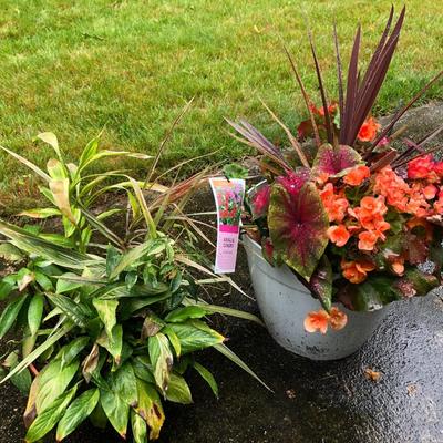 Two Combo Flowers & One Concrete Stand -Lot 131
