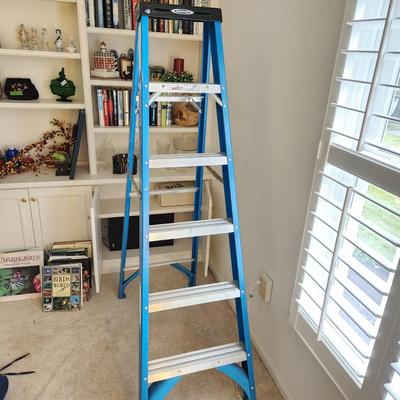 Werner 6' ladder FS106