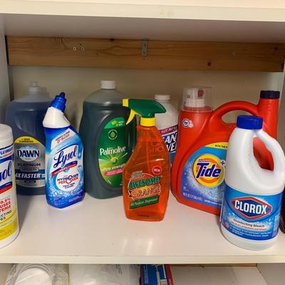 Household Cleaner / Laundry Lot