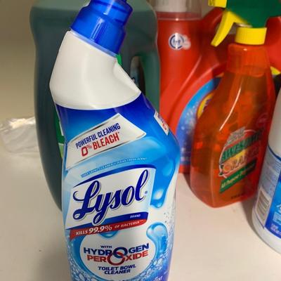 Household Cleaner / Laundry Lot