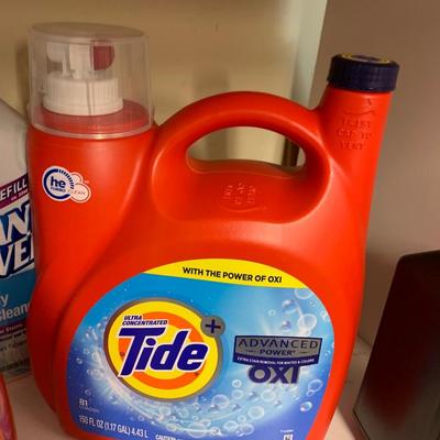 Household Cleaner / Laundry Lot