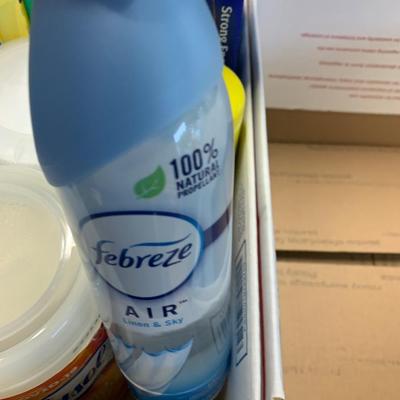 Household Cleaners & More Lot