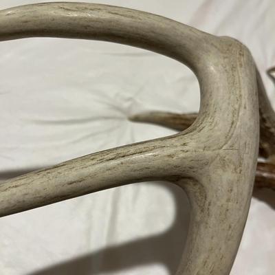 Loose Deer Antlers