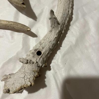 Antler Pieces
