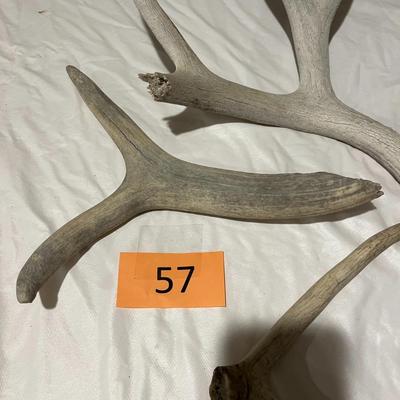 Antler Pieces