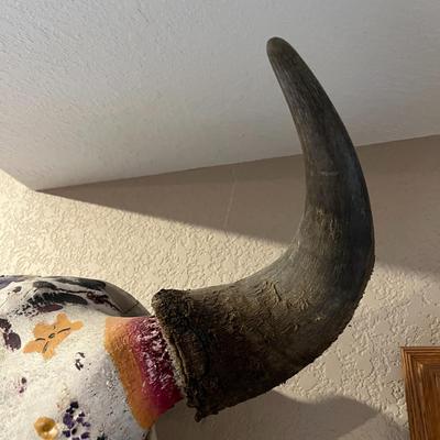 Hand painted Buffalo Skull