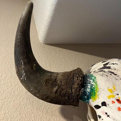 Hand painted Buffalo Skull