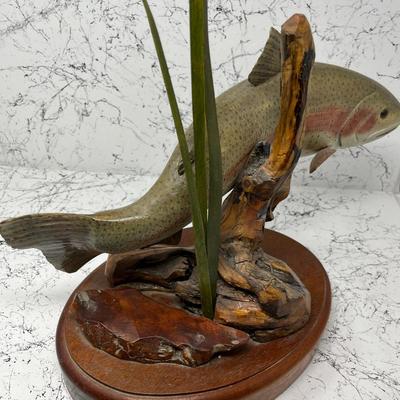 Rainbow Trout taxidermy