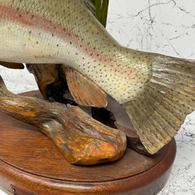 Rainbow Trout taxidermy