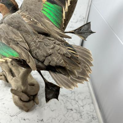 Duck Mount Wall Art Hanger