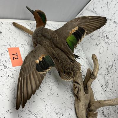 Duck Mount Wall Art Hanger