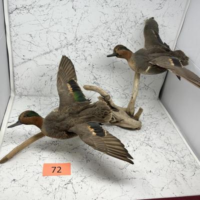 Duck Mount Wall Art Hanger