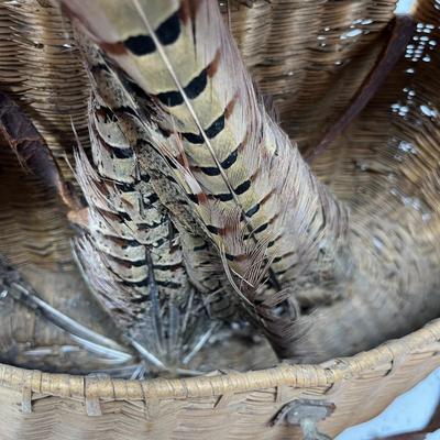Vintage Fish Basket with feathers