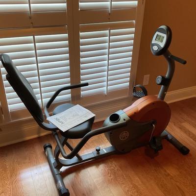 Magnetic Resistance Recumbent Bike